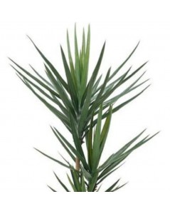 Pianta Artificiale Yucca 180h 79 foglie con vaso prezzo