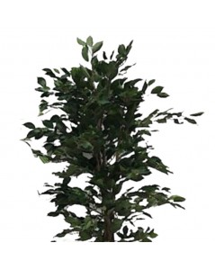 Pianta Artificiale Ficus 180h 1344 foglie con vaso prezzo