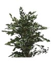 Pianta artificiale Ficus variegato 120h 768 foglie con vaso