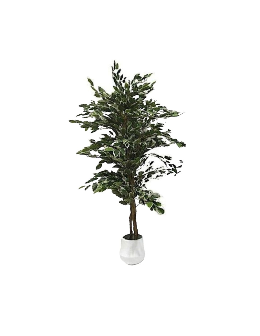 Pianta artificiale Ficus variegato 120h 768 foglie con vaso