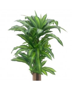 Pianta Artificiale Dracena 150h 172 foglie con vaso prezzo