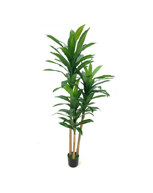 Pianta artificiale Dracena 180H 81 foglie con vaso