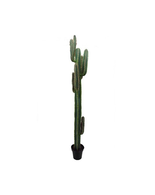 Pianta artificiale Cactus 210H con vaso