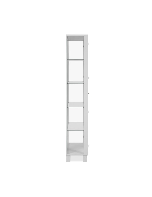 Vetrina colore bianco con 2 ante e 4 ripiani Albi52A 62x33x189H