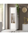 Vetrina con anta Tiki 67x40x197h colore bianco opaco