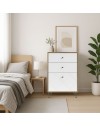 Cassettiera 2 cassetti e anta BolloBO18 63.4x40x95.55H colore rovere bianco