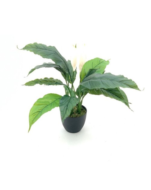 Pianta artificiale Spathiphylium foglie verdi con fiori bianchi e vaso – Altezza 60 cm