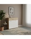 Mobile multiuso Irys con 2 ante e 1 cassetto colore bianco e rovere 80x35x84H