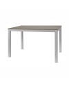Tavolo rettangolare allungabile 120x80 struttura alluminio e piano larice grigio Monster