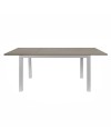 Tavolo rettangolare allungabile 120x80 struttura alluminio e piano larice grigio Monster