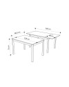 Tavolo rettangolare allungabile 120x80 struttura alluminio e piano larice grigio Monster