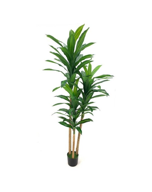 Pianta artificiale Dracena 180H 81 foglie con vaso