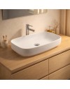 Lavabo da appoggio 1 vasca in ceramica per bagno 60x38 bianco lucido – Modello LAV43560