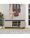 Panca scarpiera colore cashmere Zulla con cuscino e 2 ante