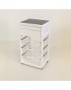 Carrello Dolly in Faggio Massello Bianco con Cesti Trasparenti – Luminosità e Funzionalità per Ogni Ambiente