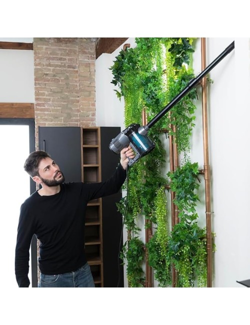 Scopa elettrica Cecotec Conga Thunderbrush 560 2in1 tecnologia ciclonica 600W