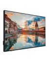 Monitor TV professionale LED Vestel PN50D-4H Smart TV 50" UHD 4K retroilluminazione Schmale Direkt-LED nero classe G