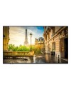 Monitor TV professionale Vestel PR50D-4H 4K Ultra HD 50" Slim Direct-LED nero classe G