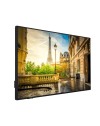 Monitor TV professionale Vestel PR50D-4H 4K Ultra HD 50" Slim Direct-LED nero classe G