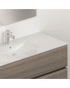 Mobile bagno sospeso olmo 2 cassetti con lavabo e specchio COMP100OL 101x46x54h
