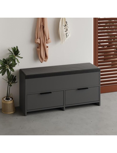Panca Scarpiera Cove Antracite con Seduta Imbottita, 2 Ante a Ribalta e Vano Superiore - 106 cm