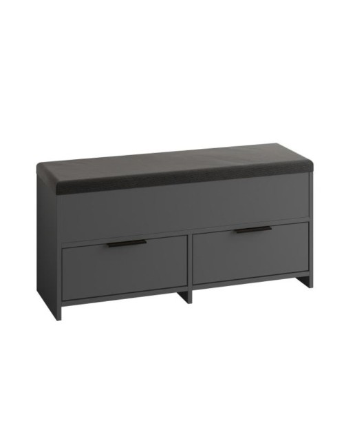 Panca Scarpiera Cove Antracite con Seduta Imbottita, 2 Ante a Ribalta e Vano Superiore - 106 cm