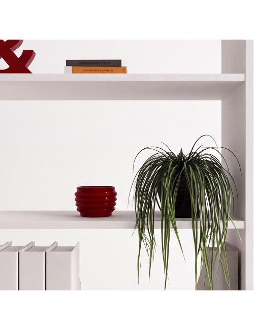 Libreria Miraflor con 2 ante e 4 vani a giorno colore bianco 98.7x35.2x230H