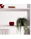 Libreria Miraflor con 2 ante e 4 vani a giorno colore bianco 98.7x35.2x230H