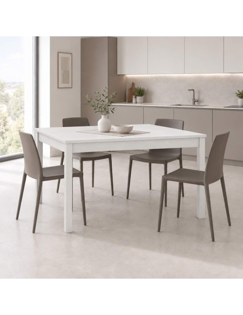 Tavolo Allungabile Firenze 120x80 Colore Bianco Frassinato Prezzo