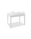 Tavolo allungabile Firenze 110x70 colore olmo
