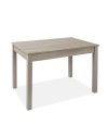 Tavolo rettangolare Firenze 110x70 colore olmo